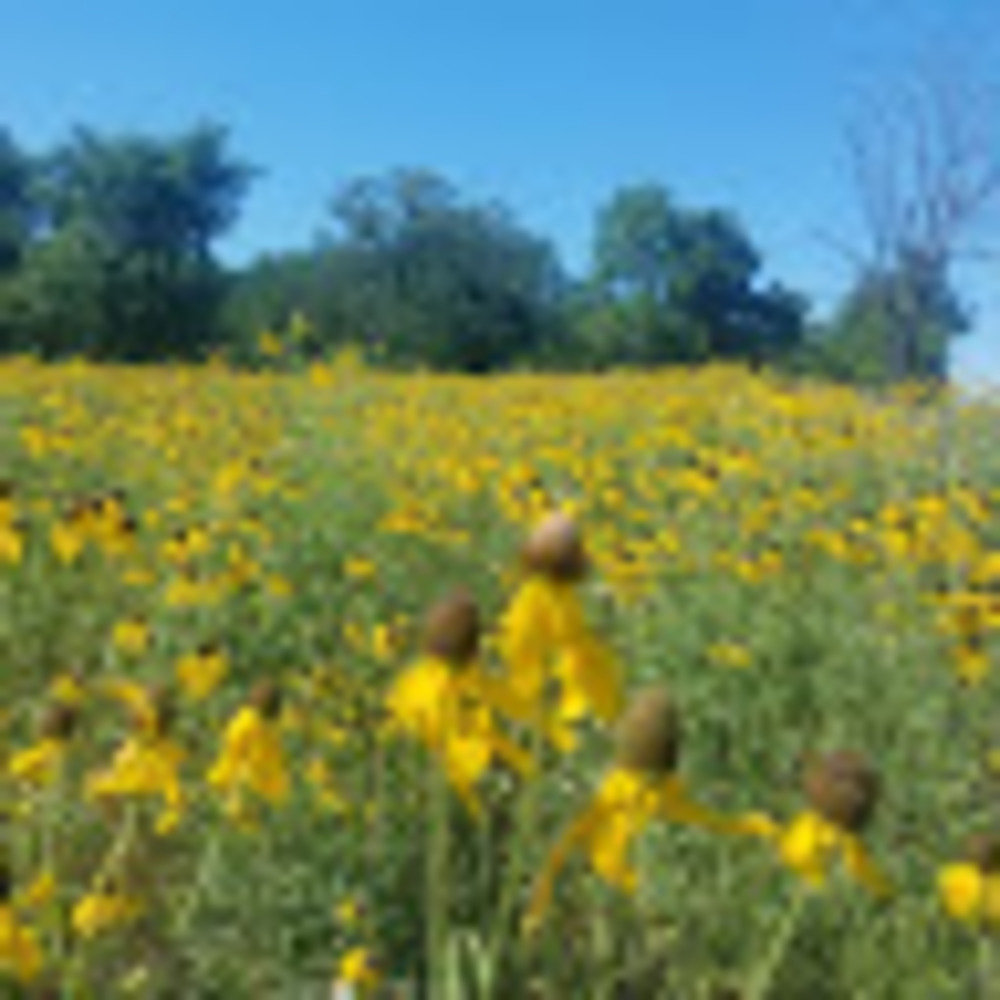 Meet your Posher, C. leann